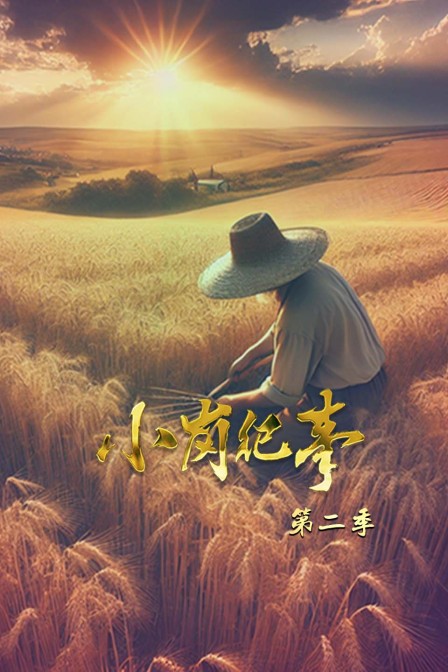 小岗纪事第二季