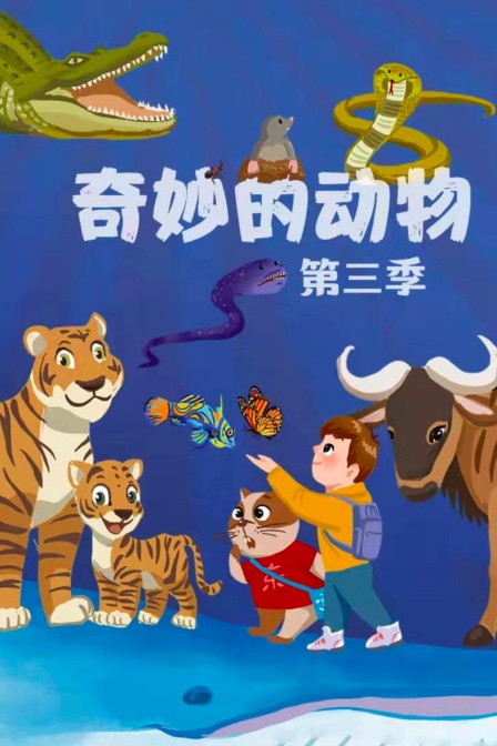 奇妙的动物第三季