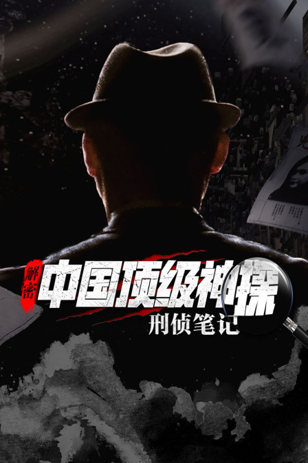 解密中国顶级神探刑侦笔记