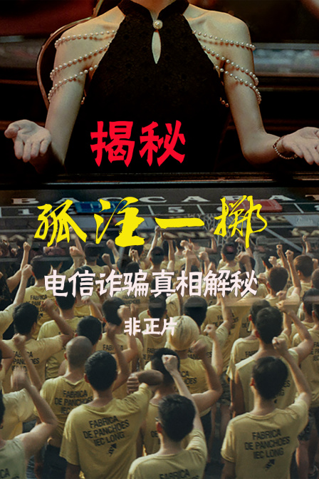 揭秘孤注一掷电信诈骗真相解秘非正片