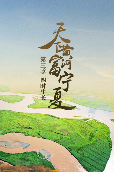天下黄河富宁夏第三季四时生长