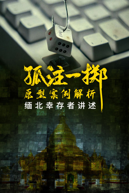 孤注一掷原型案例解析