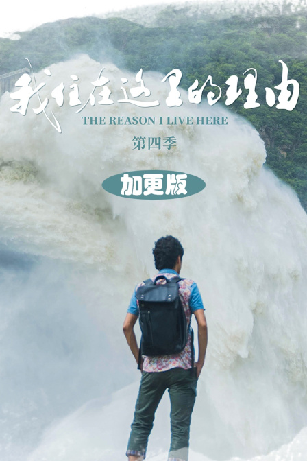 我住在这里的理由第四季加更版