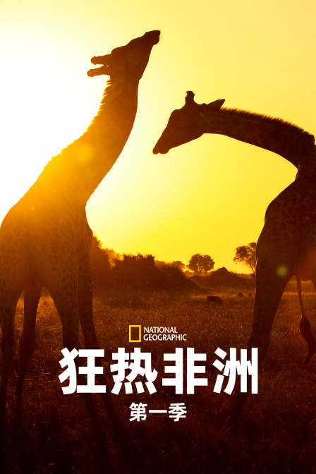 狂热非洲第一季