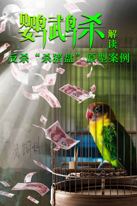 鹦鹉杀解读反杀”杀猪盘原型案例