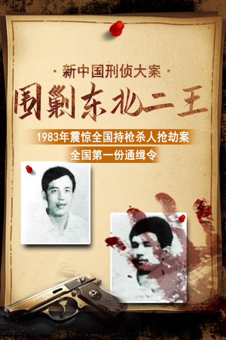 新中国刑侦大案围剿东北二王