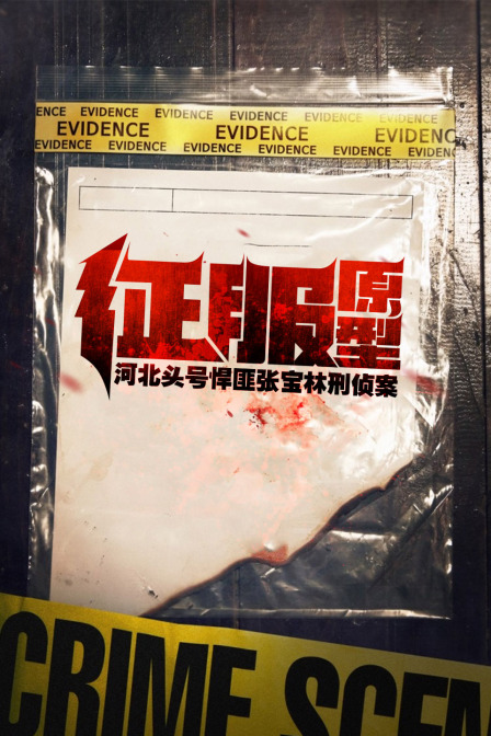 征服原型河北头号悍匪张宝林刑侦案