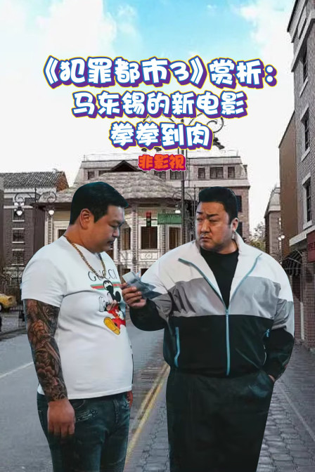犯罪都市3赏析马东锡的新电影拳拳到肉