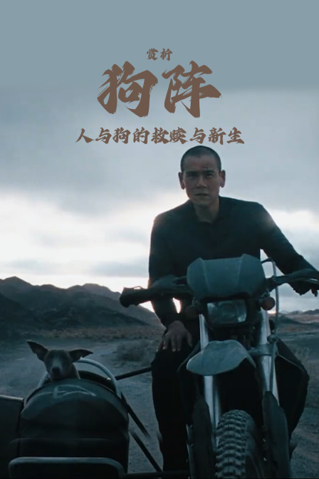 赏析狗阵人与狗的救赎与新生