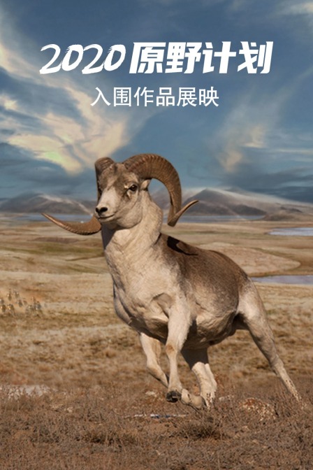 原野计划入围作品展映