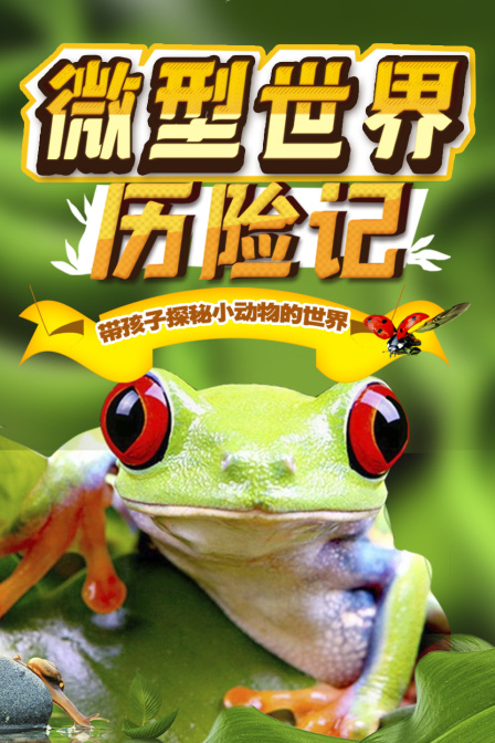 微型世界历险记带孩子探秘小动物的世界