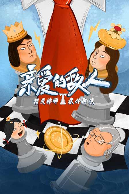 精英律师案件解读亲爱的敌人