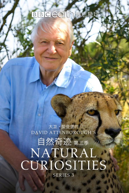 大卫爱登堡的自然奇迹第三季