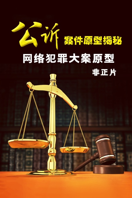 公诉案件原型揭秘网络犯罪大案原型非正片