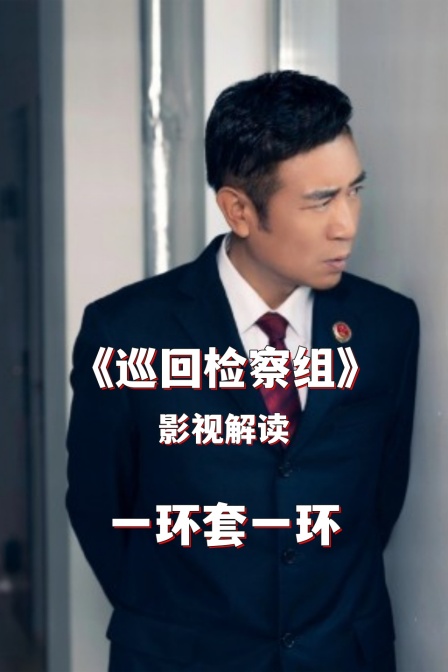 影视解读巡回检察组一环套一环