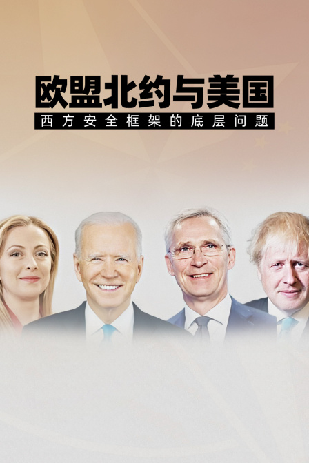 欧盟北约与美国西方安全框架的底层问题