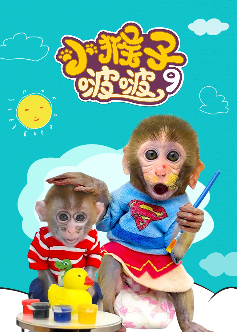 小猴子啵啵第九季