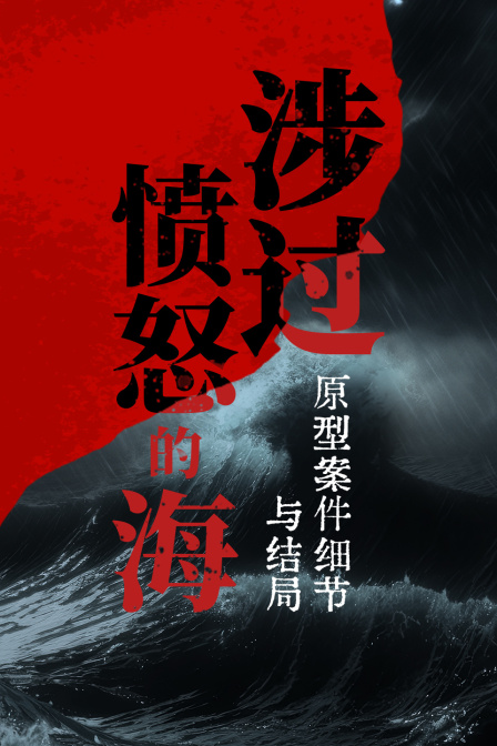 涉过愤怒的海原型案件细节与结局