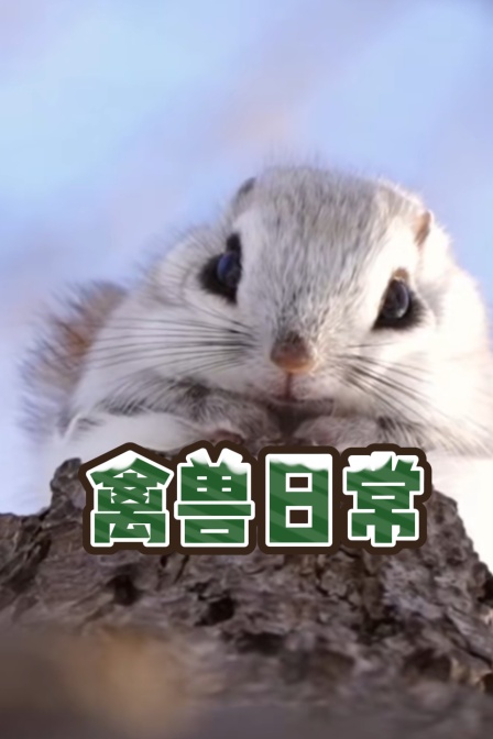 禽兽日常