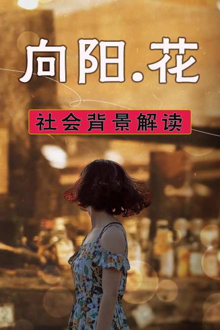 向阳花社会背景解读