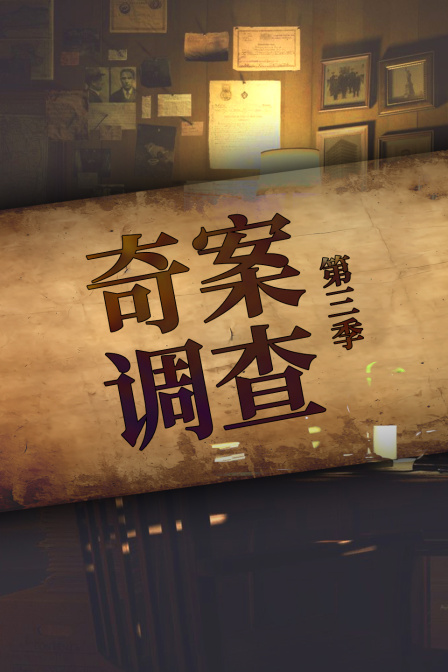 奇案调查第三季