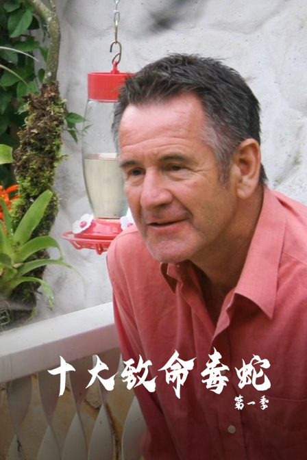 十大致命毒蛇第一季