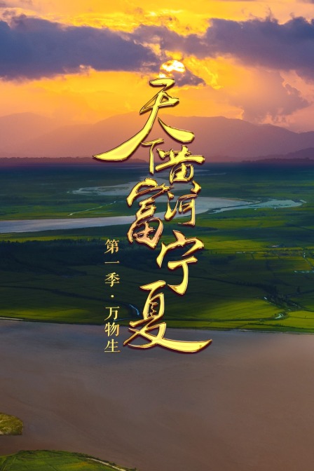 天下黄河富宁夏第一季万物生