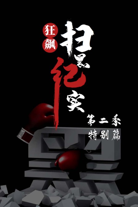 狂飙扫黑纪实第二季特别篇