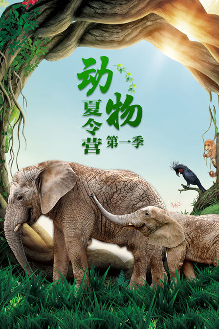 动物夏令营第一季