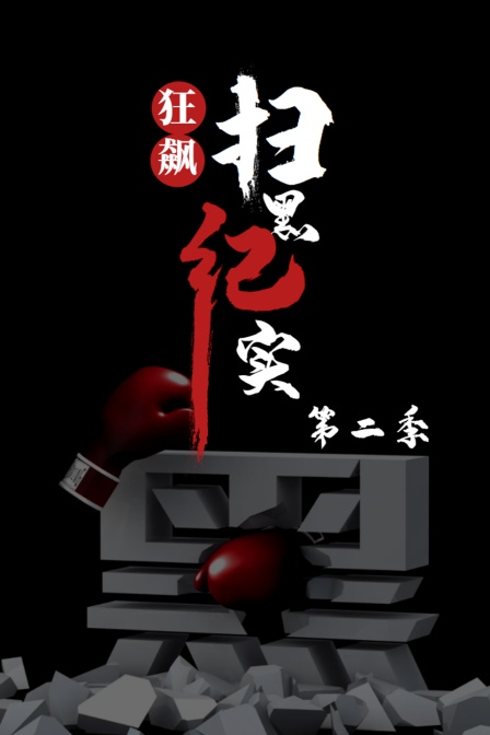 狂飙扫黑纪实第二季
