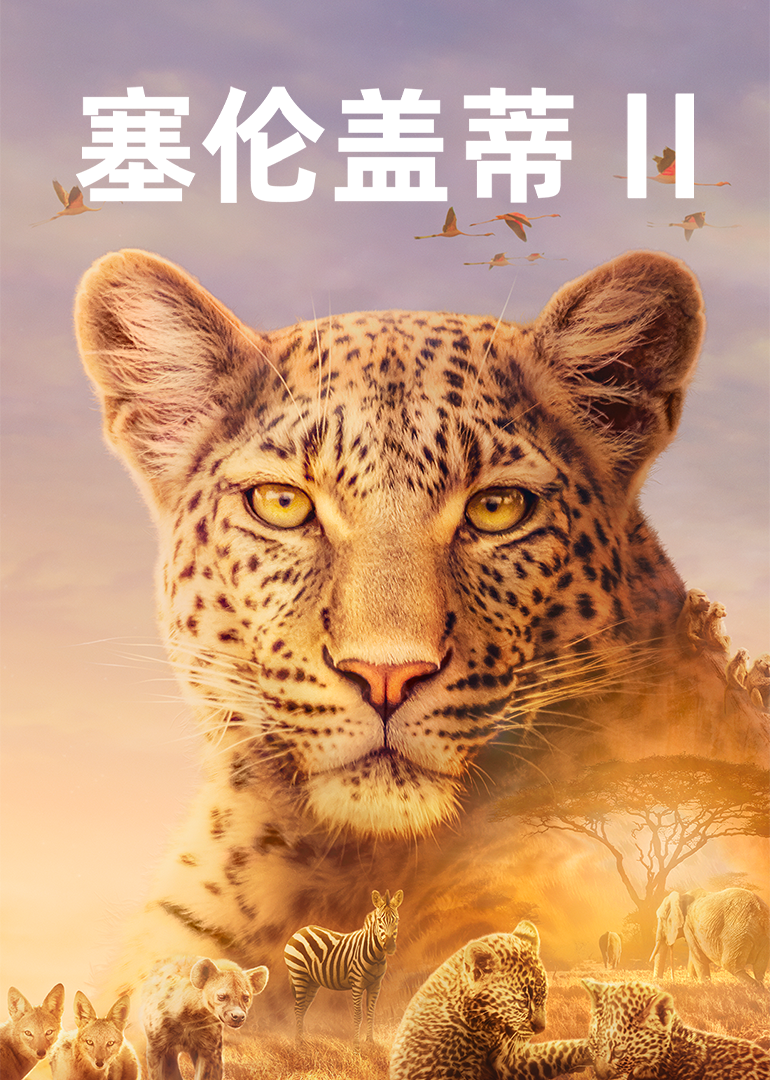 塞伦盖蒂第二季