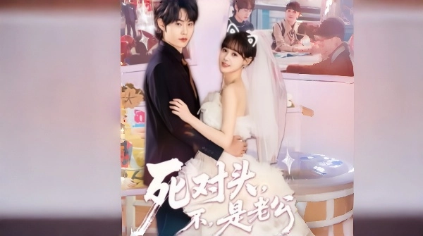 死对头不是老公