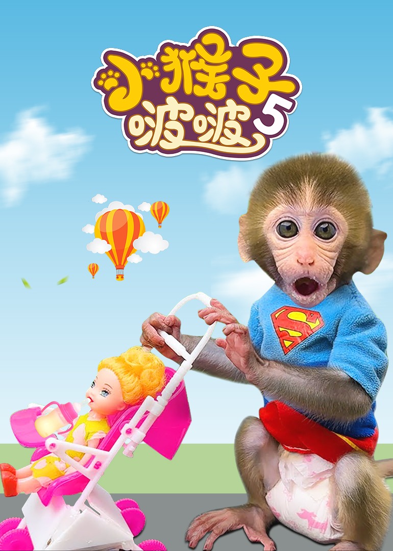 小猴子啵啵第五季