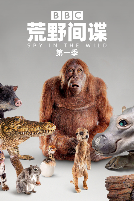 荒野间谍第一季