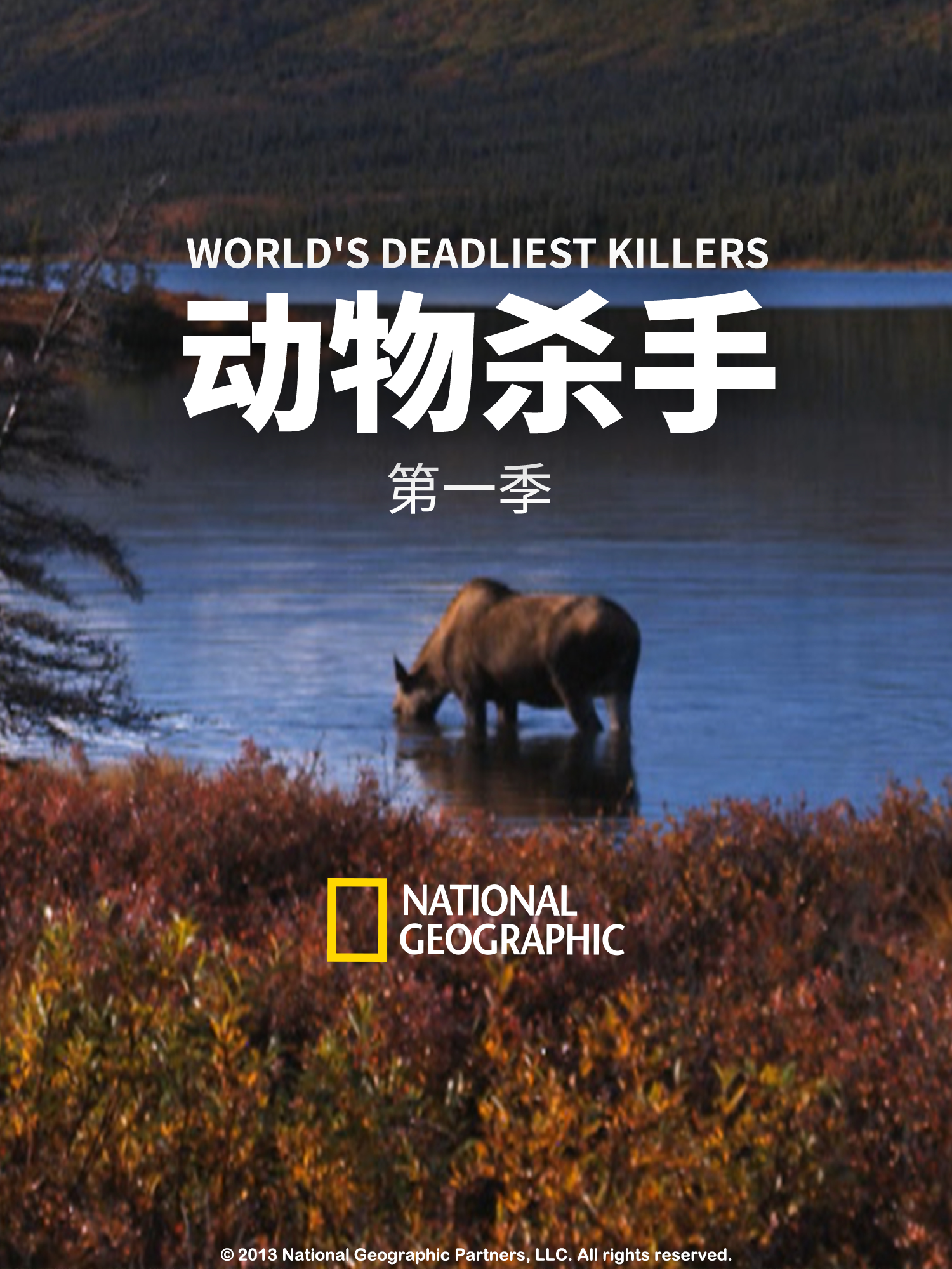 动物杀手第一季