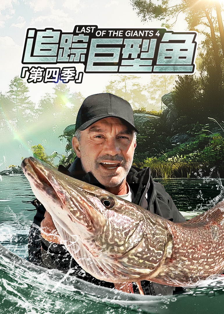 追踪巨型鱼第四季