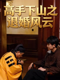 高手下山之退婚风云