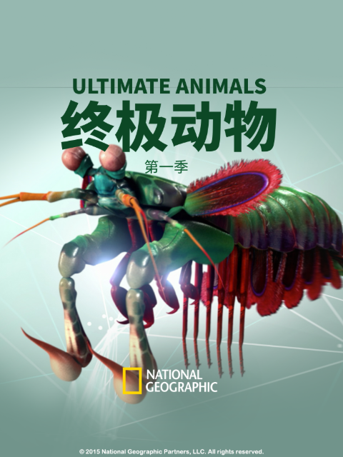 终极动物第一季