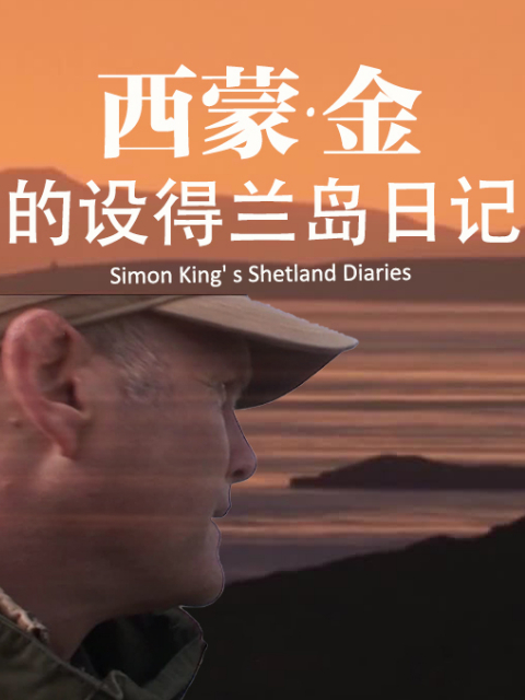 西蒙金的设得兰岛日记