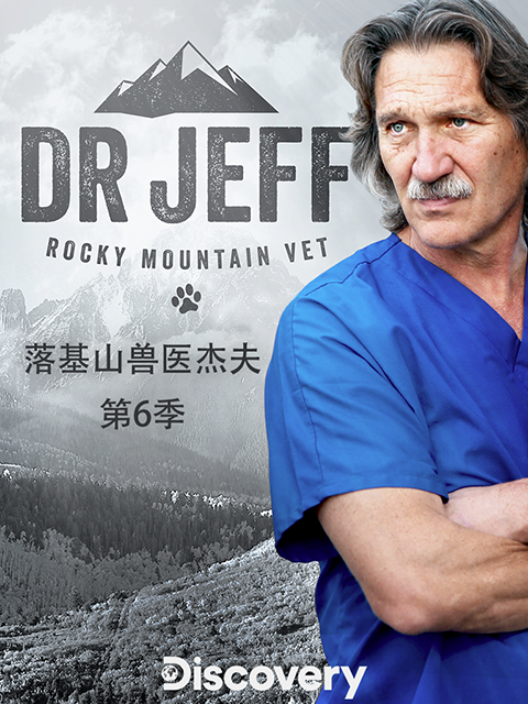 热血兽医师第六季