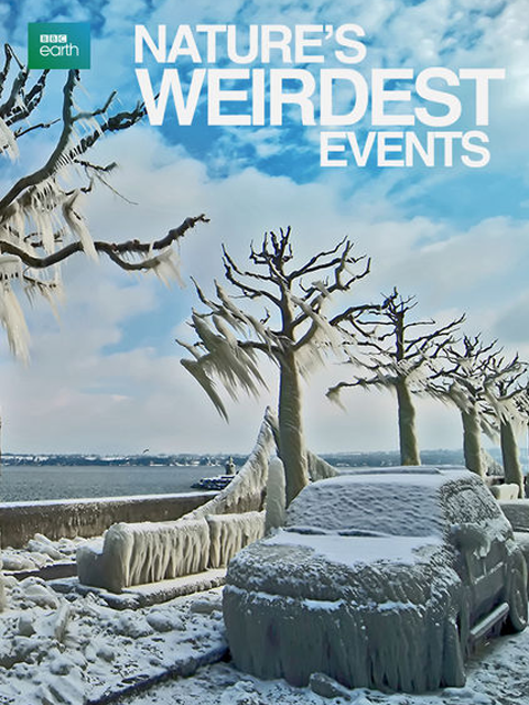 自然界最奇异的事件第二季