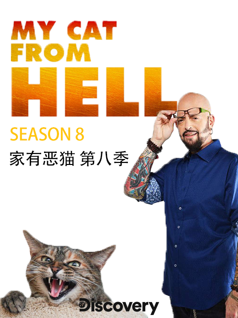 家有恶猫第八季