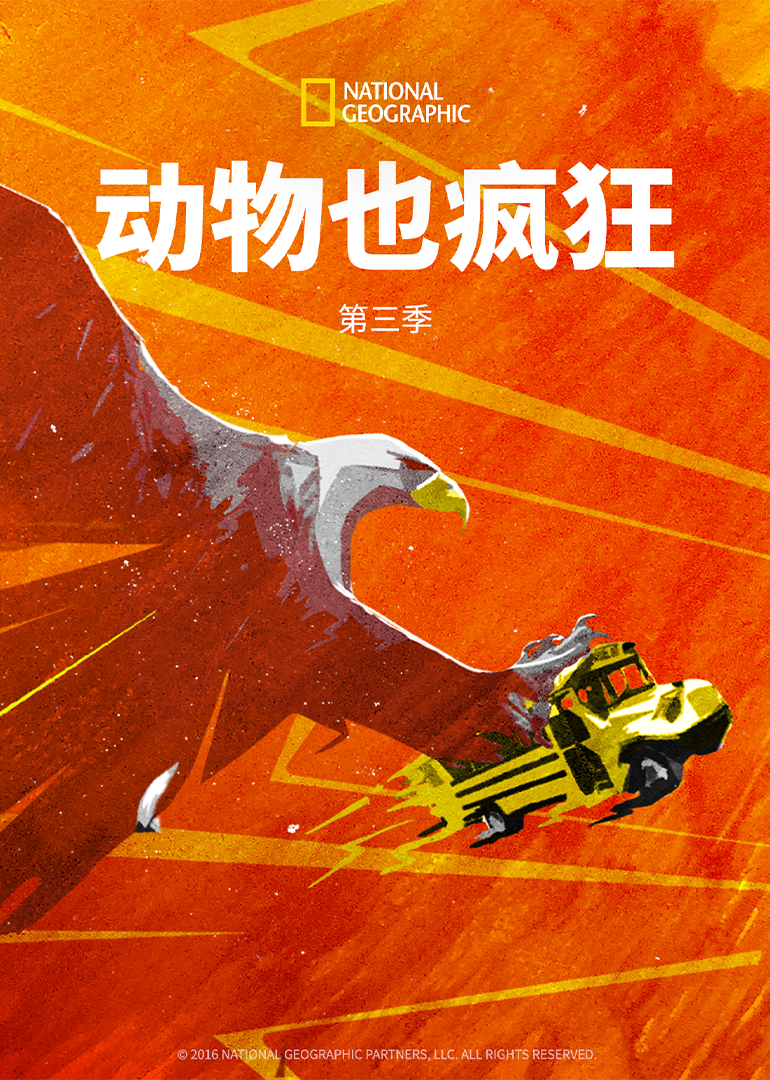 动物也疯狂第三季