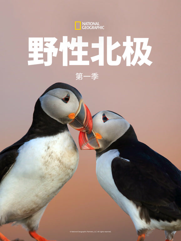 野性北极第一季