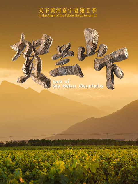 天下黄河富宁夏第二季