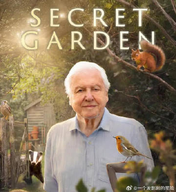 后院里的秘密生物