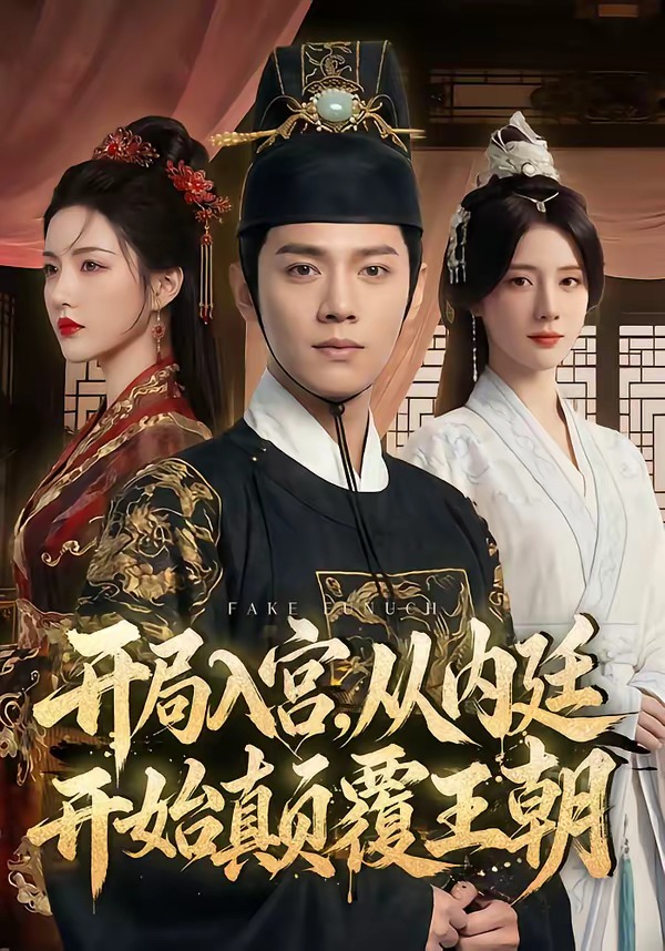 开局入宫从内廷开始颠覆王朝