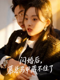 闪婚后慕总马甲藏不住了