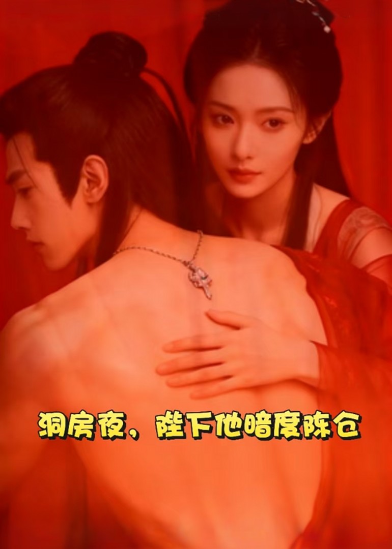 洞房夜陛下他暗度陈仓