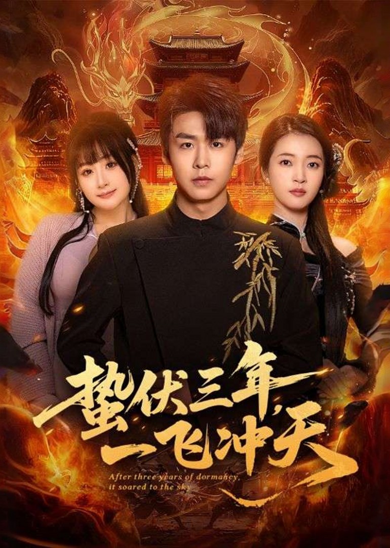 蛰伏三年一飞冲天